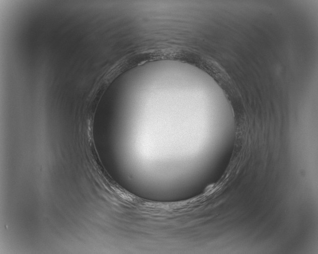X0000071330045200606230815