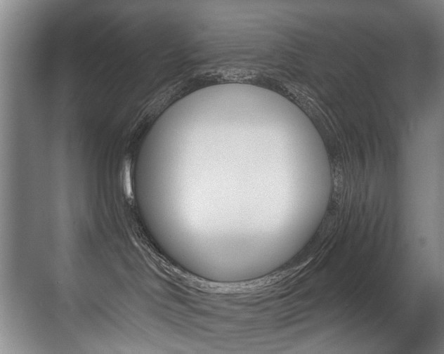 X0000071330046200606230815