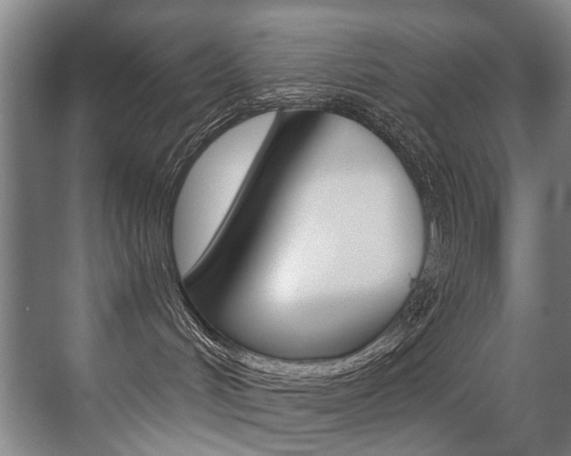 X0000071330048200606230815