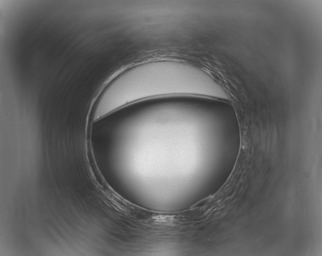 X0000071330052200606230814