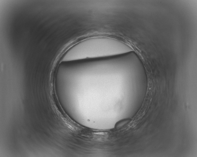 X0000071330053200606230814