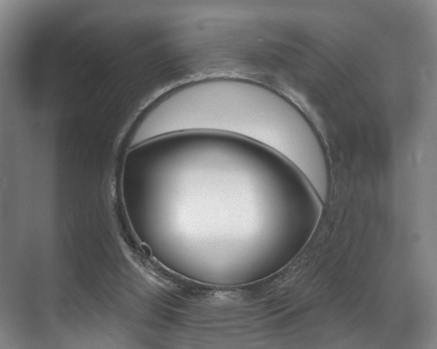 X0000071330060200606230814