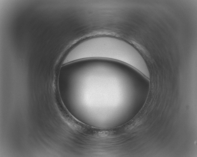 X0000071330064200606230814