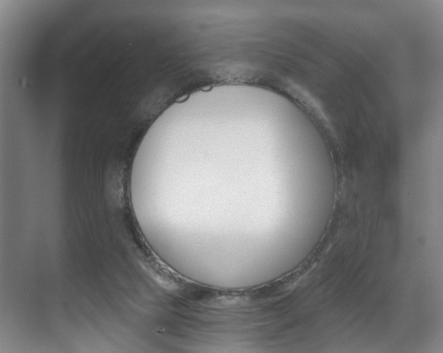X0000071330065200606230814