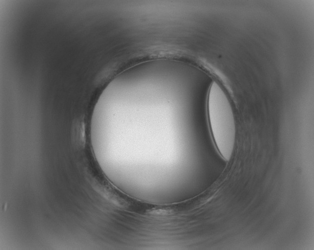 X0000071330067200606230814