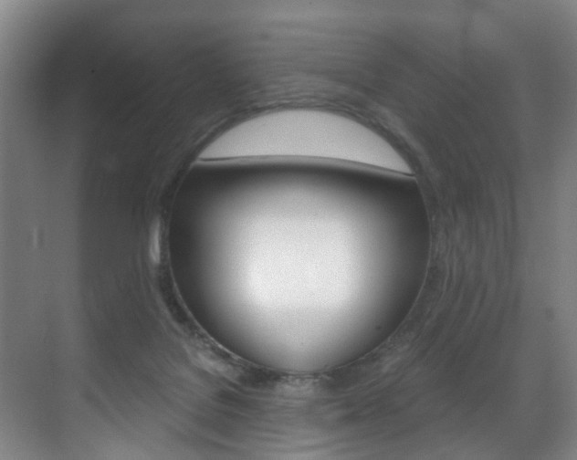 X0000071330076200606230814