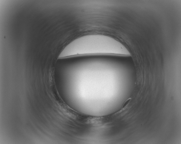 X0000071330078200606230814