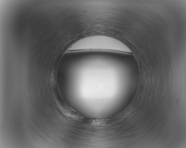 X0000071330088200606230815