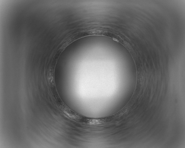 X0000071330091200606230815