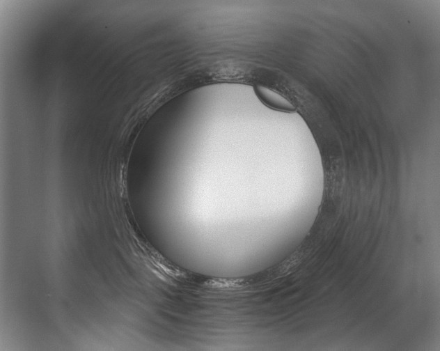 X0000071330093200606230815