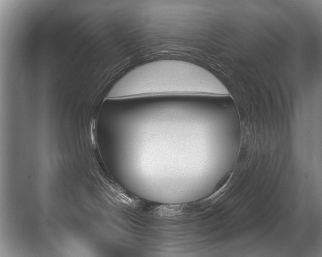 X0000071330094200606230815
