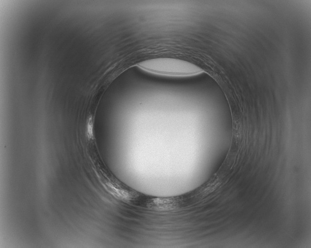 X0000071330095200606230815