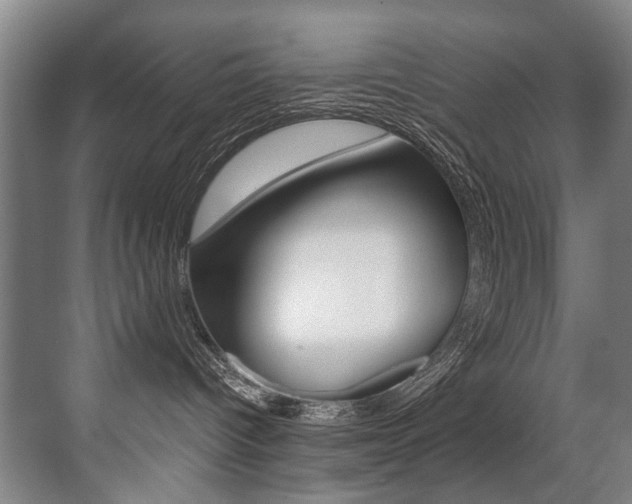 X0000071330096200606230815