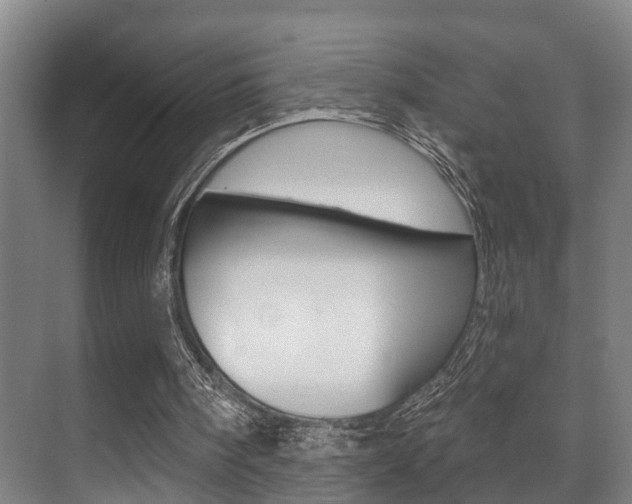 X0000071330098200606230814