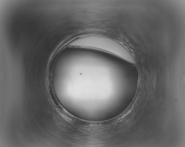 X0000071330101200606230814