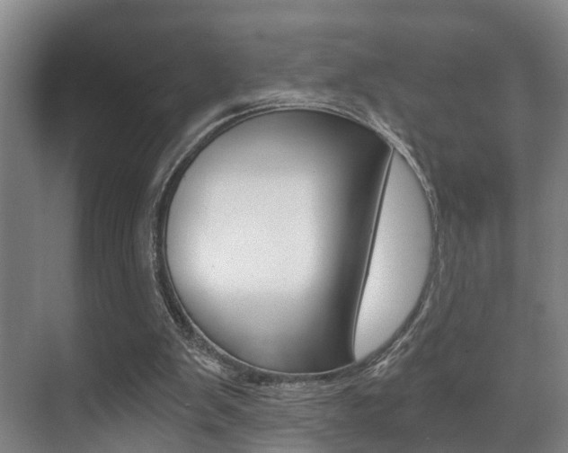 X0000071330103200606230814