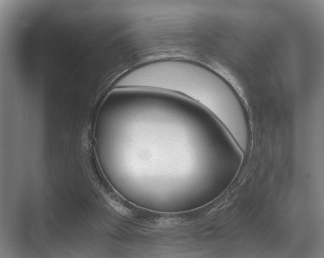 X0000071330105200606230814