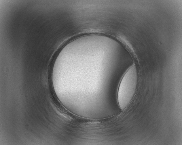 X0000071330108200606230814