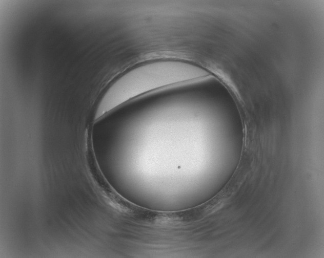 X0000071330109200606230814