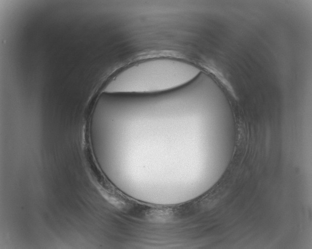 X0000071330110200606230814