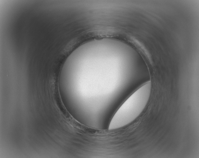 X0000071330113200606230814