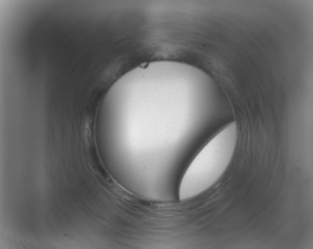 X0000071330127200606230813
