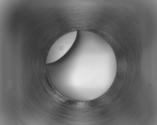 X0000071330130200606230813