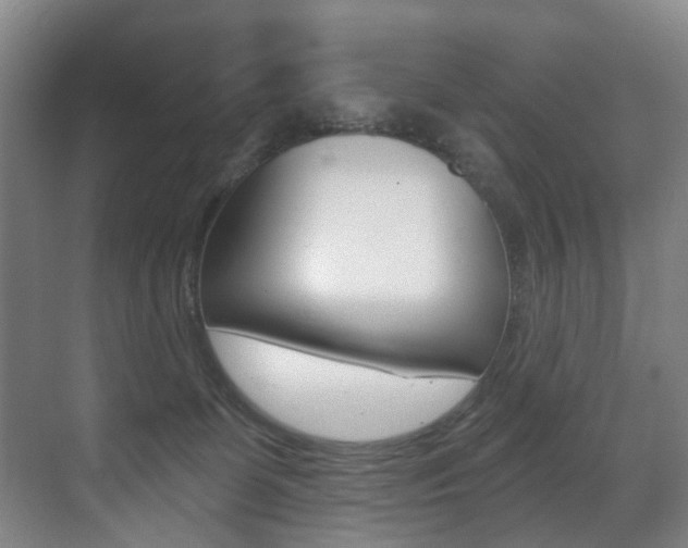X0000071330131200606230813
