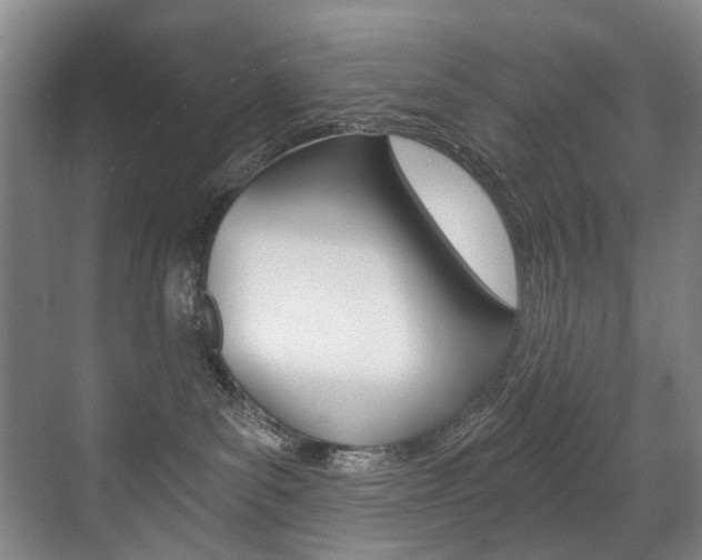 X0000071330139200606230813