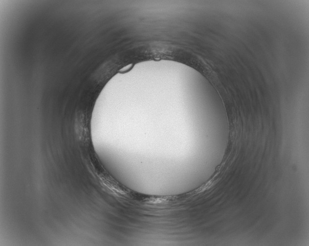X0000071330140200606230813