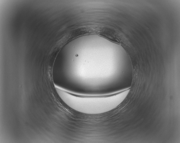 X0000071330141200606230813