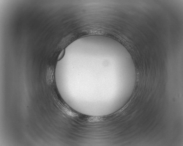X0000071330142200606230813