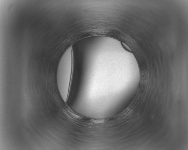 X0000071330143200606230813
