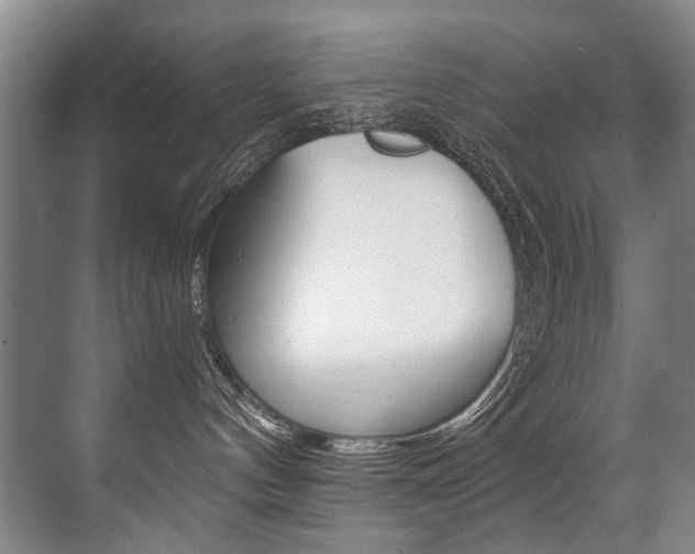 X0000071330144200606230813