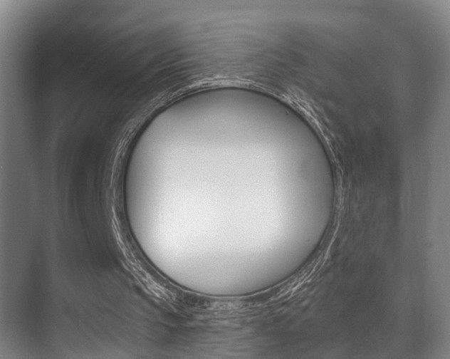 X0000071330145200606230812