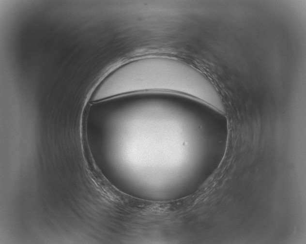 X0000071330148200606230812