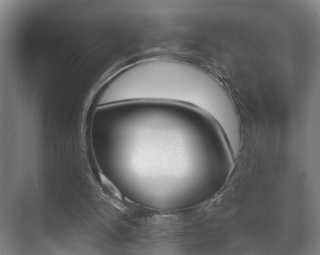 X0000071330150200606230812