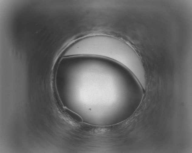 X0000071330152200606230812