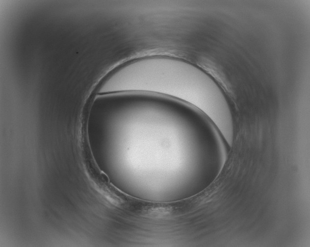 X0000071330156200606230813