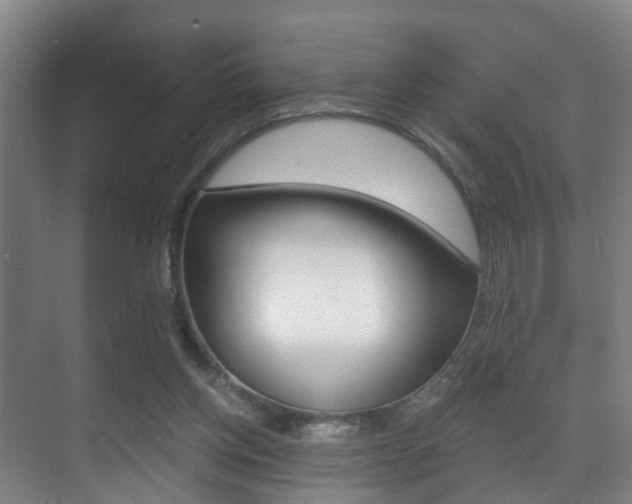 X0000071330158200606230813