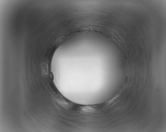 X0000071330183200606230813