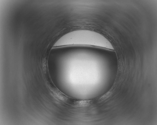 X0000071330184200606230813