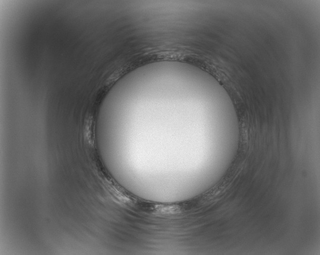 X0000071330185200606230813