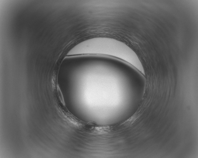 X0000071330188200606230813