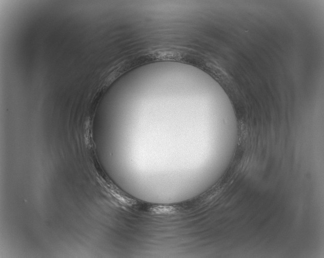 X0000071330189200606230813