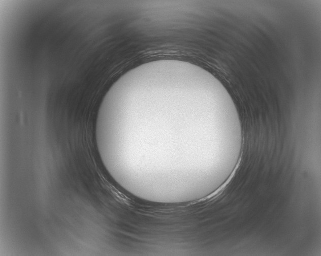 X0000071330190200606230813