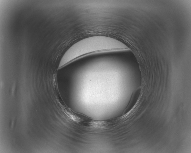 X0000071330192200606230813