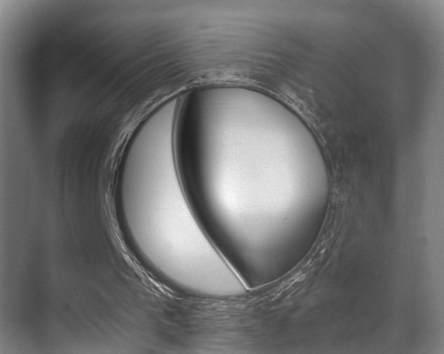X0000071330193200606230812