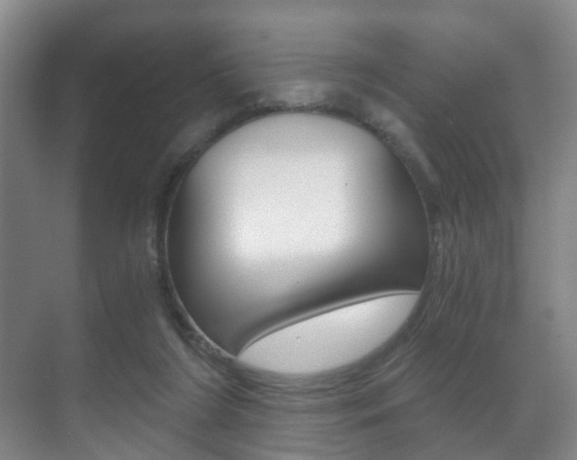 X0000071330212200606230812