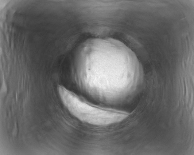 X0000071330225200606230812